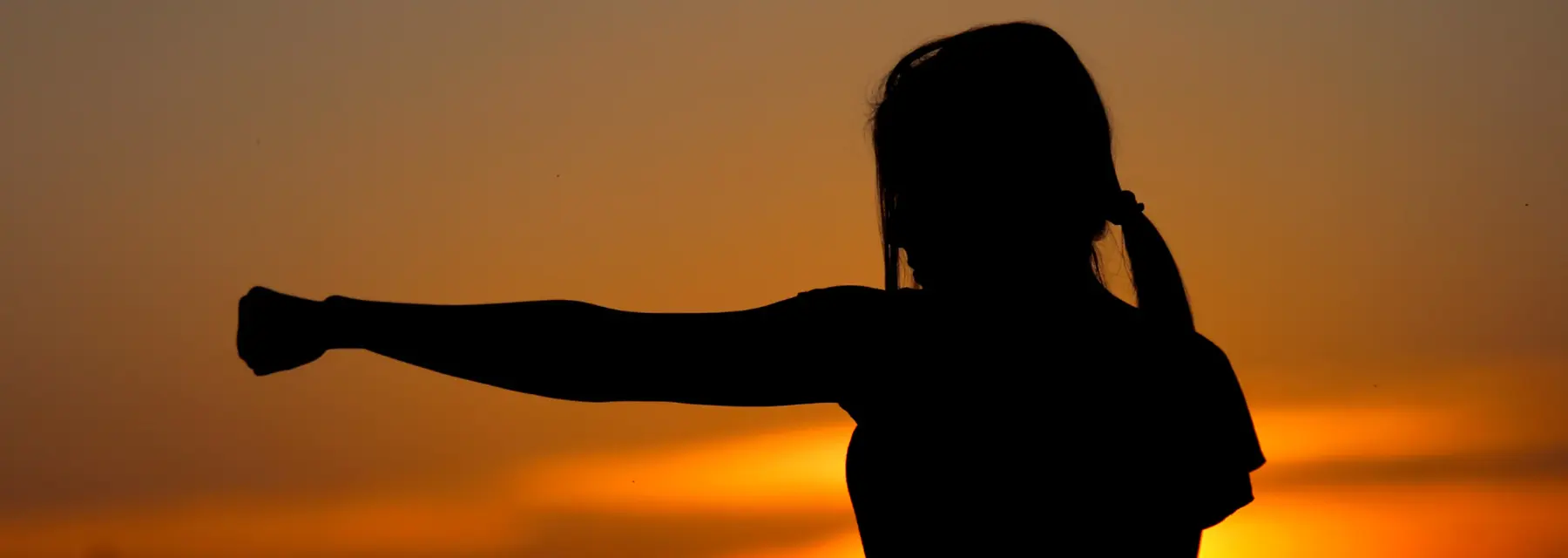 Diferencia entre ectomorfo y endomorfo