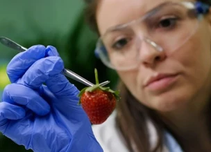 ¿Cuáles son las fuentes de contaminación de los alimentos?