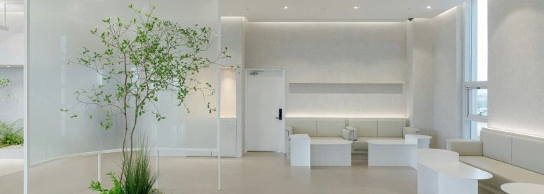 Conoce las mejores maestrías en Medicina Estética en México